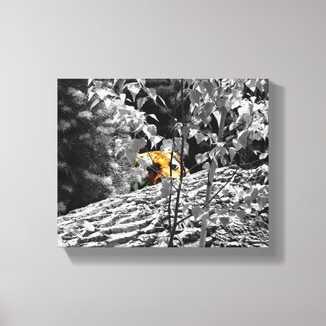 Tigre Cache-cache Toile 10x8 (Recto)