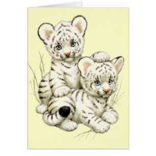 Tigre CUB blanc mignon