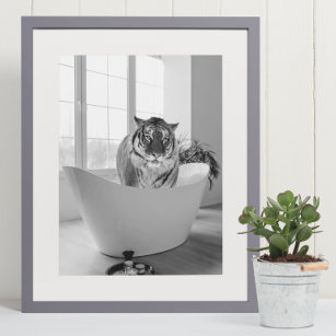 Tigre dans la baignoire noir blanc Poster d'art de