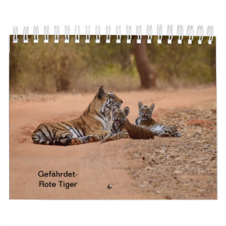 Tigre dans rouges comme calendriers