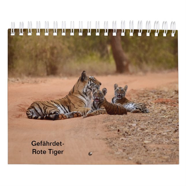 Tigre dans rouges comme calendriers (Protection)