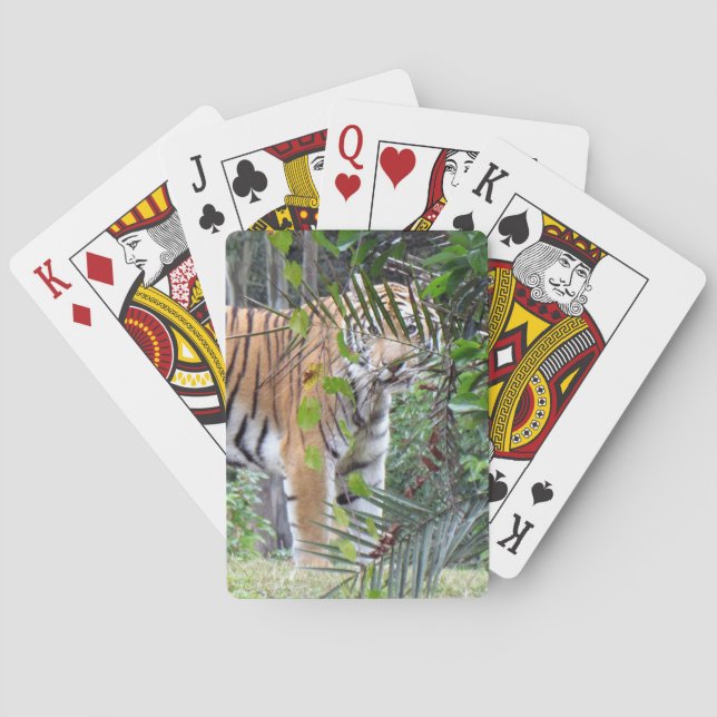 Tigre de Bengale - Cartes de Jeu de Vélos (dos)