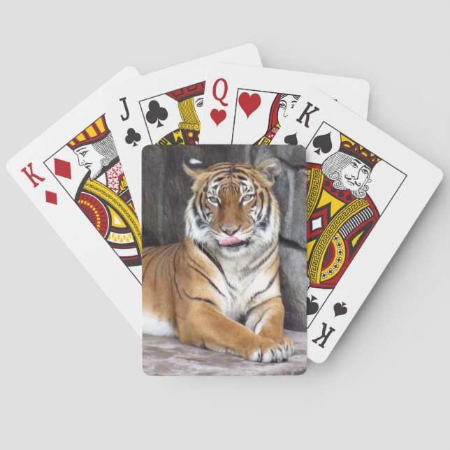 Tigre de Bengale - Cartes de Jeu de Vélos (dos)