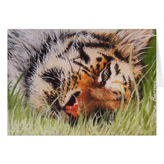 Tigre de repos (Devant horizontal)