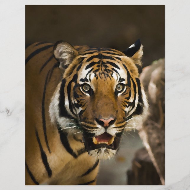 Tigre de Sibérie (Devant)