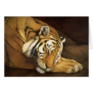 tigre de sommeil