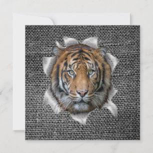 Tigre du Bengale sauvage
