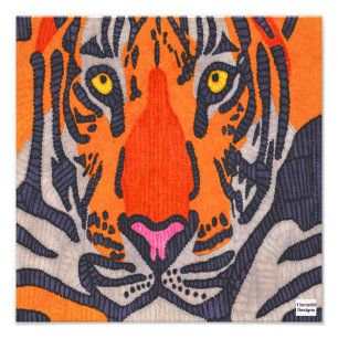 Tigre - Impression photo