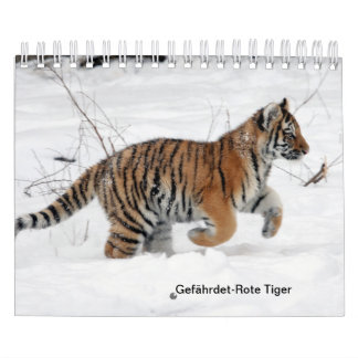 Tigre rouge comme calendrier