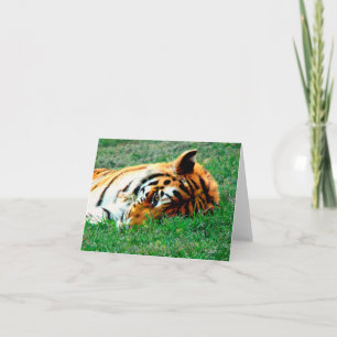Tigre se trouvant vers le bas carte de note