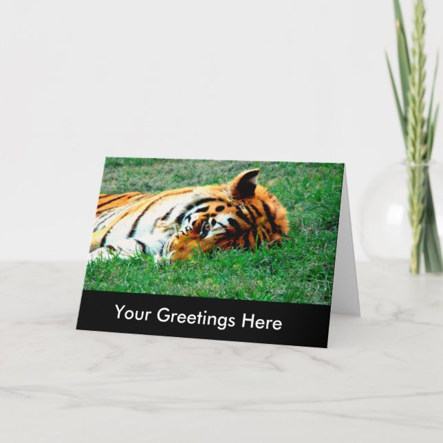 Tigre se trouvant vers le bas carte de voeux vide (Devant)