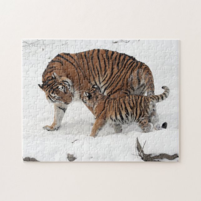 Tigre sibérien et puzzle de CUB (Horizontal)
