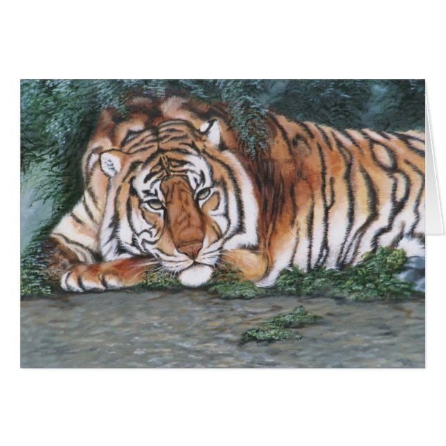 "Tigre songeur " (Devant horizontal)