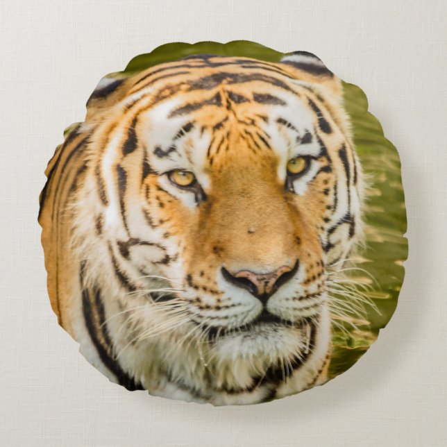 tigre sur coussin rond (Devant)