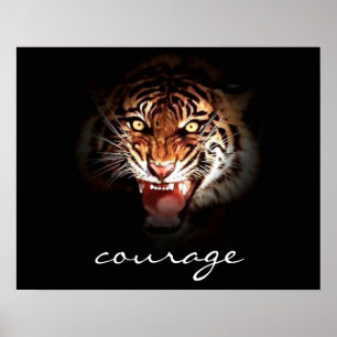Tigre torride de Courage dans l'ombre Poster Impri
