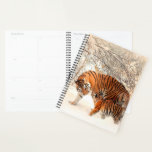 Tigres<br><div class="desc">Mama et Cub TigerIl est temps de s'organiser ! Planifiez vos journées avec l'aide d'un agenda personnalisé. Parfait pour votre style de vie,  cet agenda vous permet de planifier par mois et par semaines et de noter tout ce qui est important pour vous !</div>