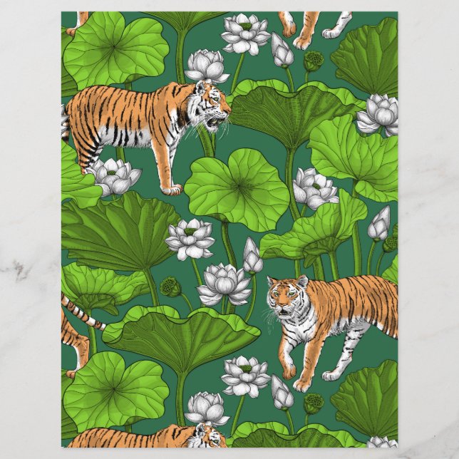 Tigres dans l'étang blanc de lotus (Devant)