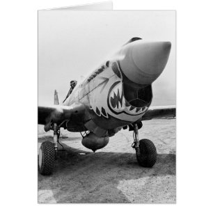 Tigres volants P-40 Warhawk, 1941