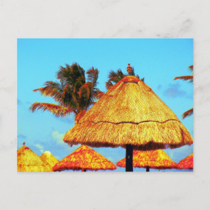 ~Tiki Huts~ CARTE POSTALE