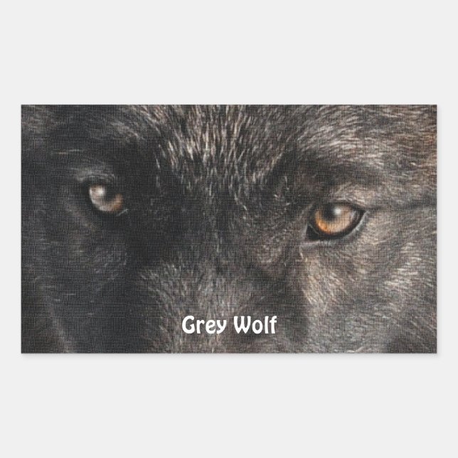 TIMBER WOLF EYES Stickers de soutien de la faune (Devant)