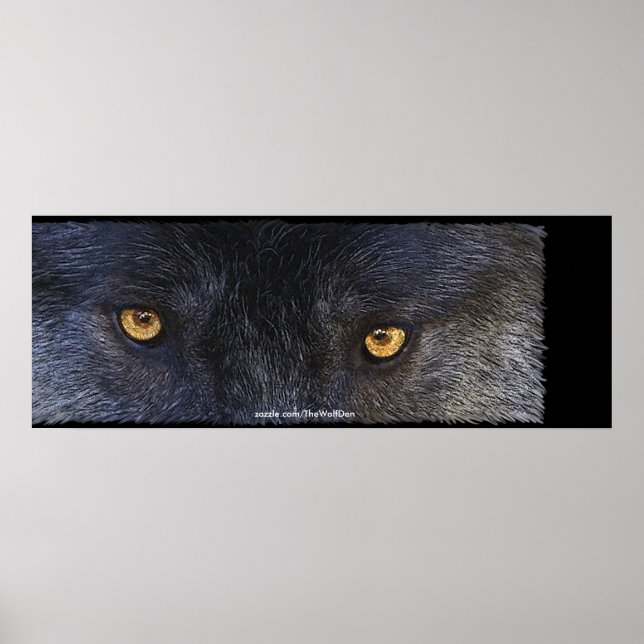 Timber Wolf Eyes Wildlife Photo Art Poster (Devant)