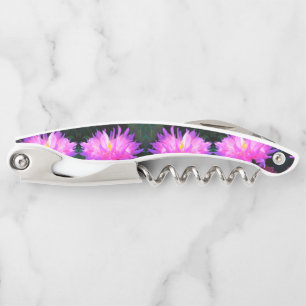 Tire-bouchon Dahlia Cactus Rose et Violet Incroyable