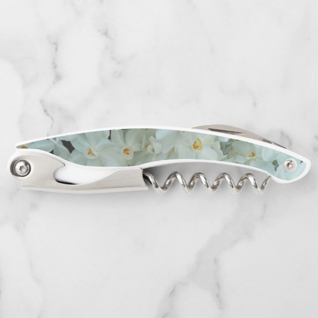 Tire-bouchon Paperwhite Narcissus Fleurs blanches délicates (Devant)