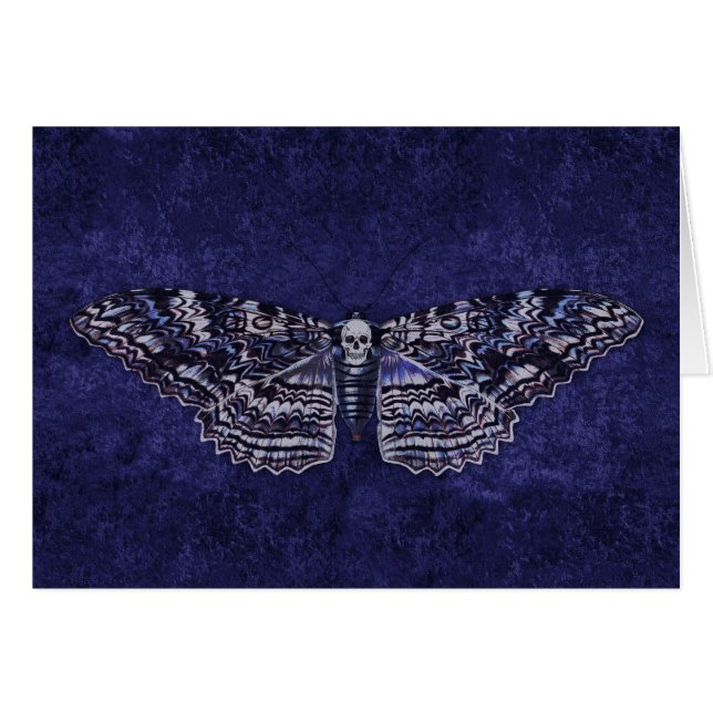 Tiré Moth (Devant horizontal)