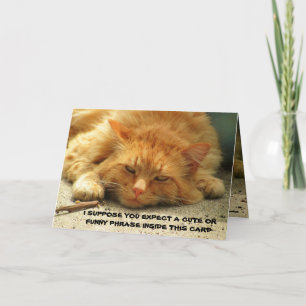 Tired Kitty veut que vous finissiez sa carte