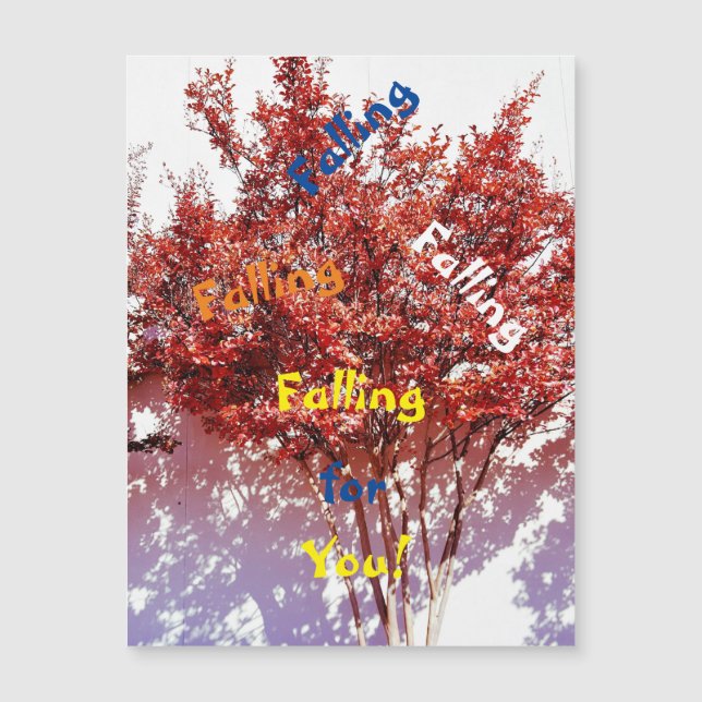 Tirer Votre Capture Sur N'Importe Qui Carte De Voe (Devant)