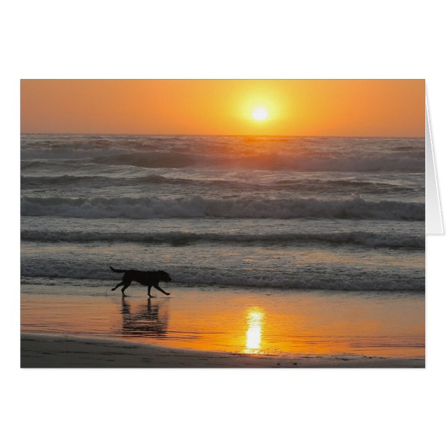 Tirez le meilleur de votre jour (Devant horizontal)