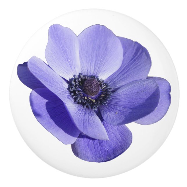 Tiroir Fleur Violette Meuble Bouton Poignée (Devant)
