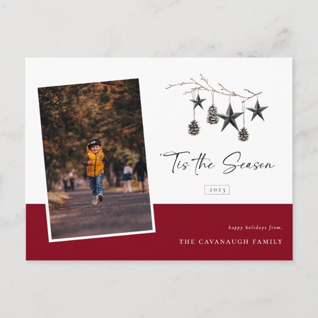 'Tis Season Cosy Nature Photo Holiday Carte postal (Devant)