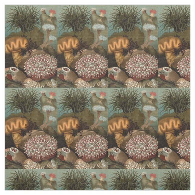 Tissu 19e century print sea anemones (Échantillon)