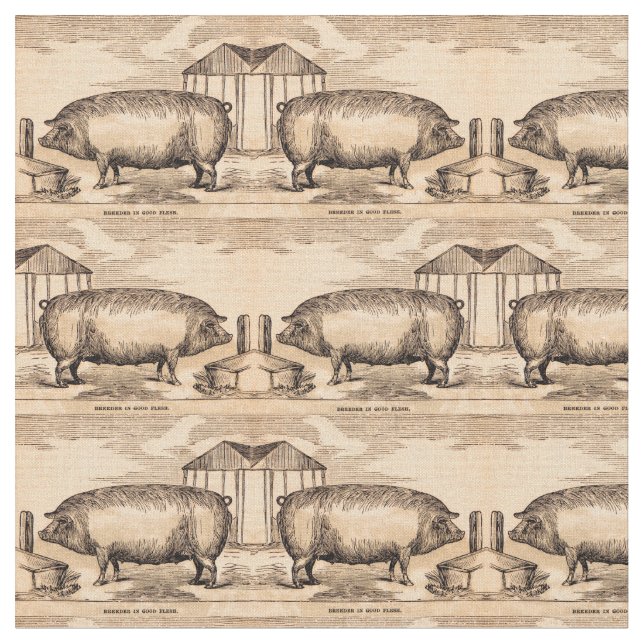 Tissu 19th century pit 'Breeder in Good Flesh' (Fermer)