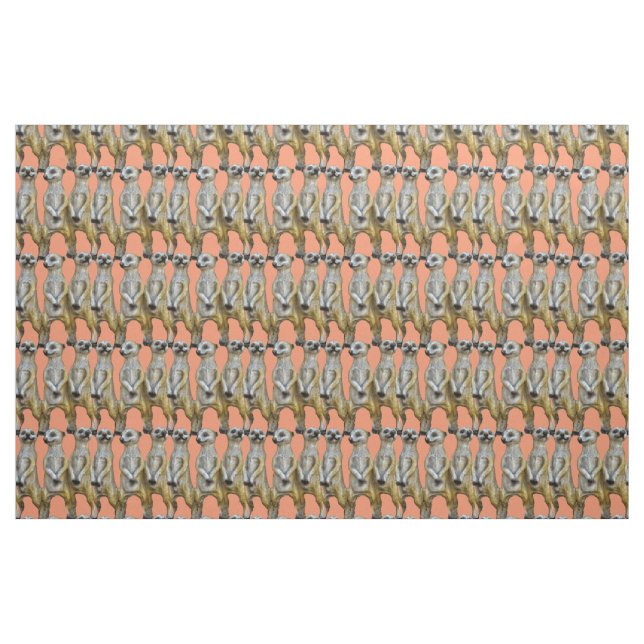 Tissu 3 Meerkats debats Thunder_Cove (Fat Quarter)