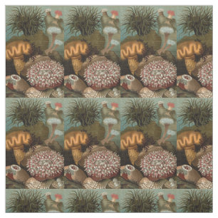 Tissu Actinies du 19ème siècle d'impression