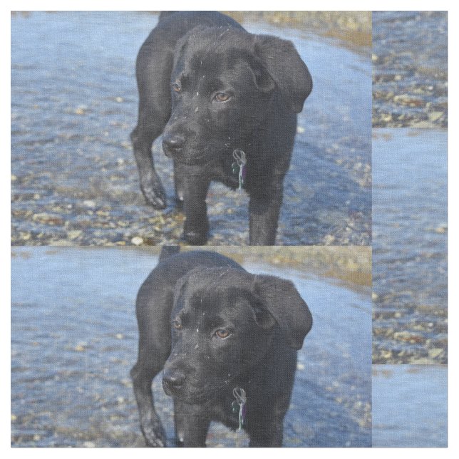 Tissu Adorable Chien de Chien Chien De Chien De Chien Du (Fermer)