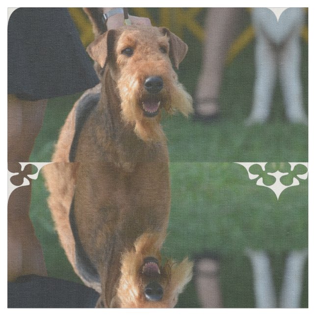 Tissu Airedale mignon Terrier (Fermer)