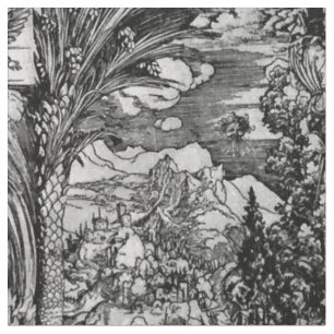 Tissu Albrecht Dürer noir et blanc