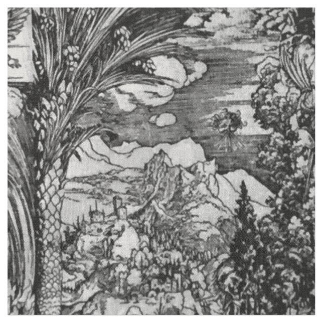 Tissu Albrecht Dürer noir et blanc (Fermer)