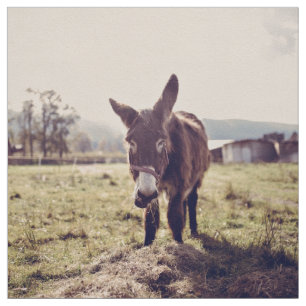 Tissu Alimentation d'âne