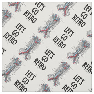 Tissu Allons-y Rétro Retroperitoneal Vasculature