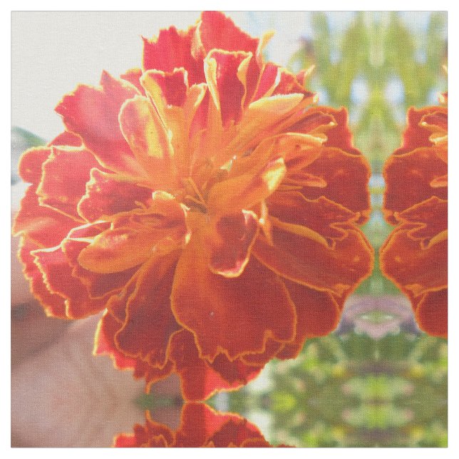 Tissu Anastaise (Fermer)