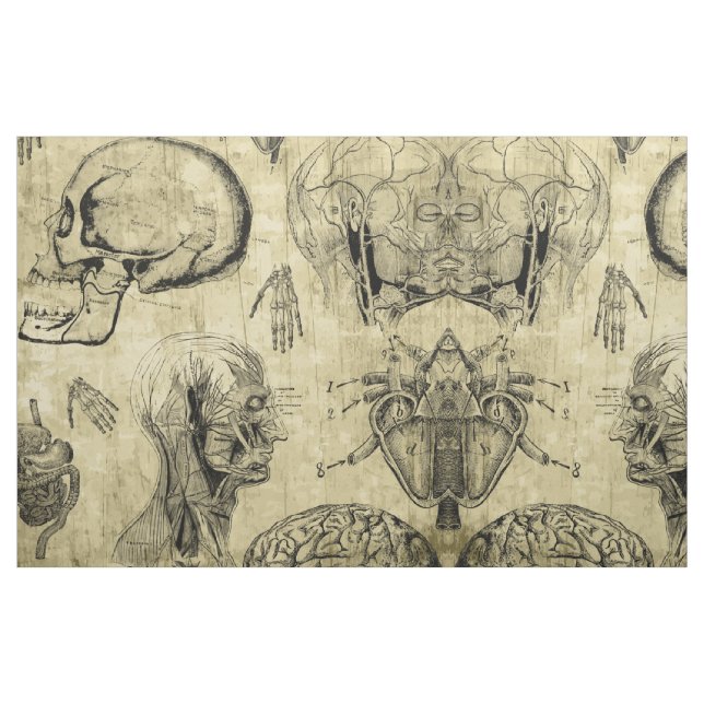 Tissu Anatomie Vintage (Fat Quarter)