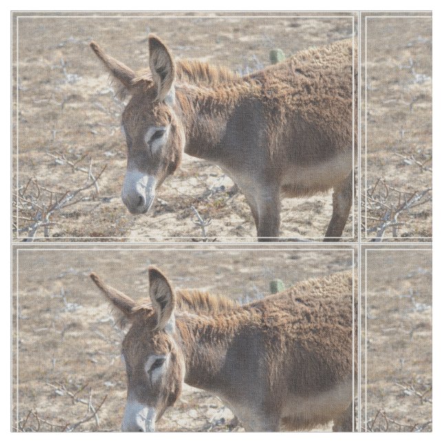 Tissu Âne adorable (Fermer)