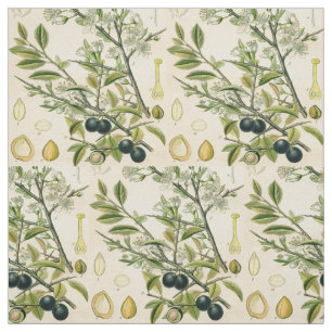 Tissu Antique Blackthorn Botanique Imprimé Fleur Berry