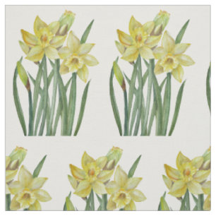 Tissu Aquarelle Daffodiles Jaunes Illustration botanique