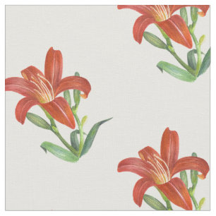 Tissu Aquarelle Orange Lily Illustration botanique