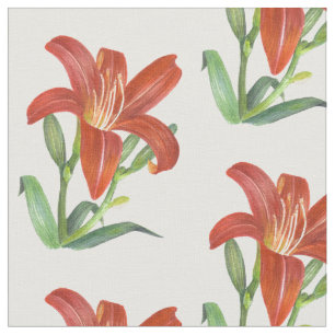 Tissu Aquarelle Orange Lily Illustration botanique